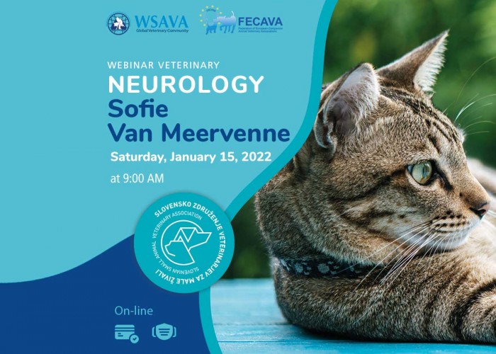 Webinar - Diagnosis and therapy of seizures in dogs and cats