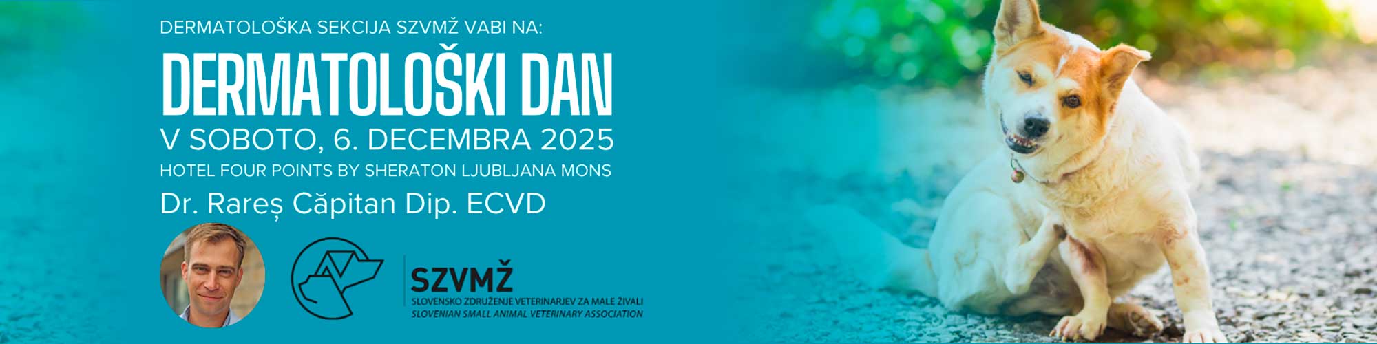 Mačji dan: deveto življenje potrebuje potrpljenje