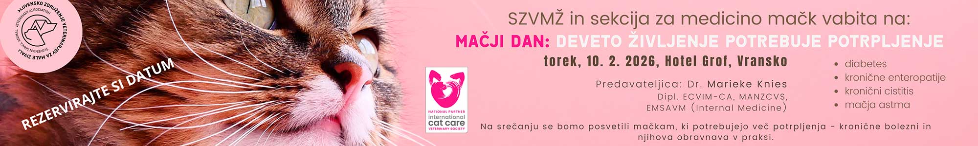 Mačji dan: deveto življenje potrebuje potrpljenje