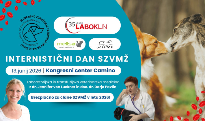Internistični dan 2026